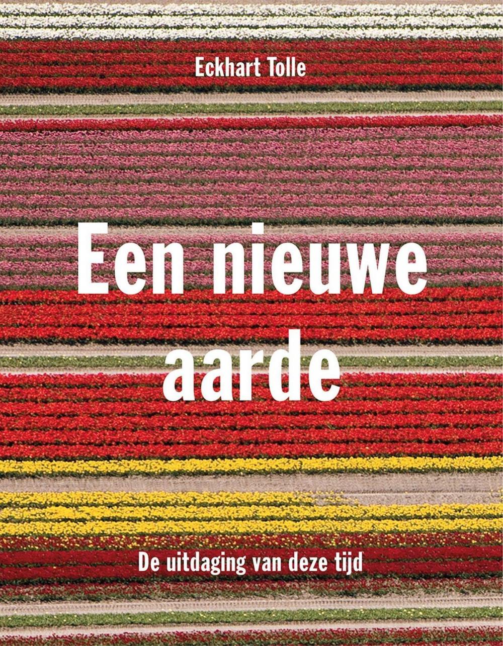 Big bigCover of Een nieuwe aarde