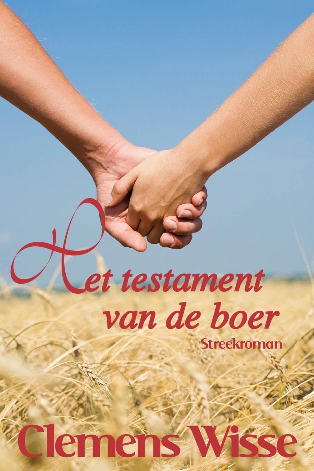 Big bigCover of Het testament van de boer