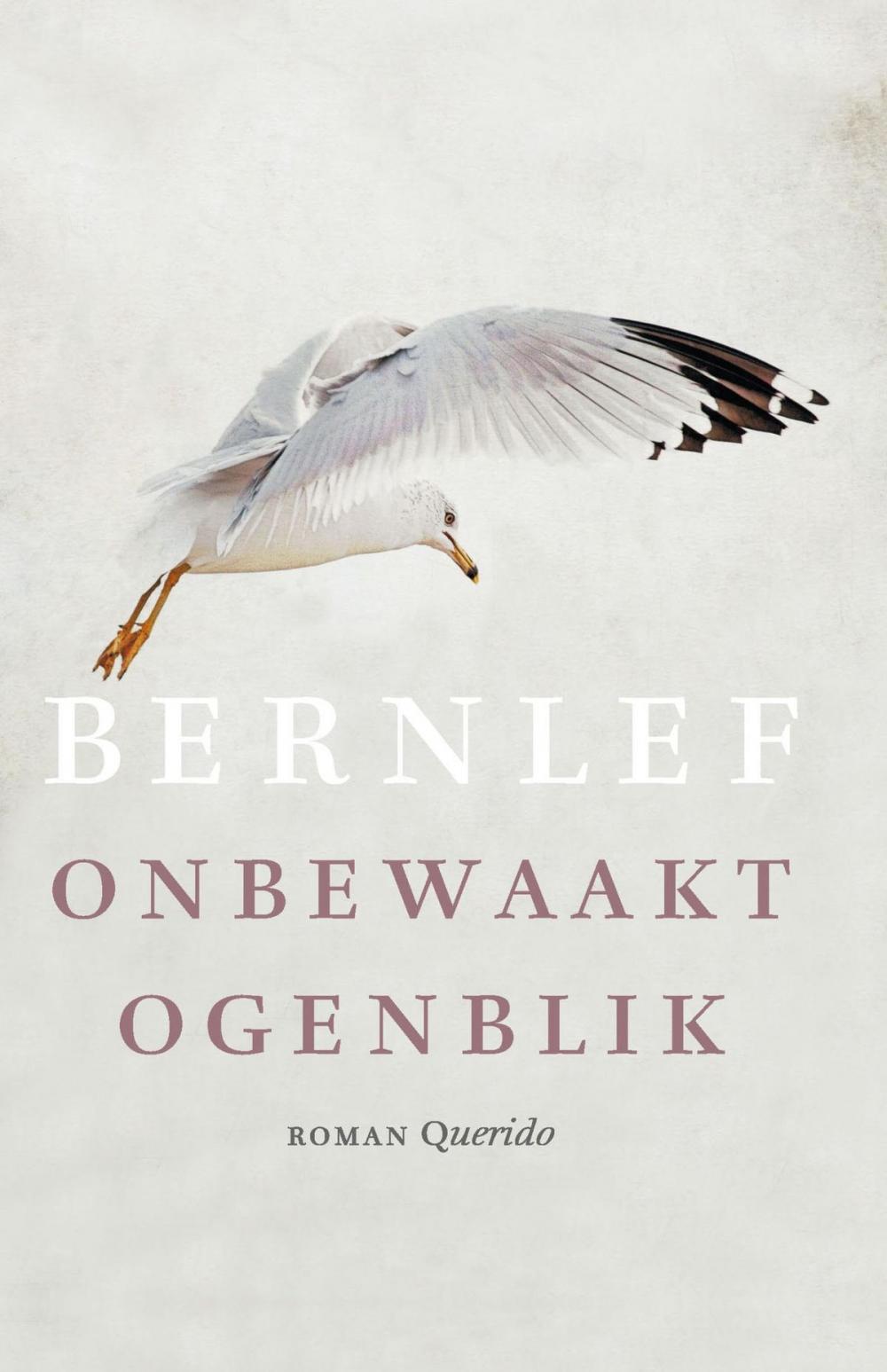 Big bigCover of Onbewaakt ogenblik