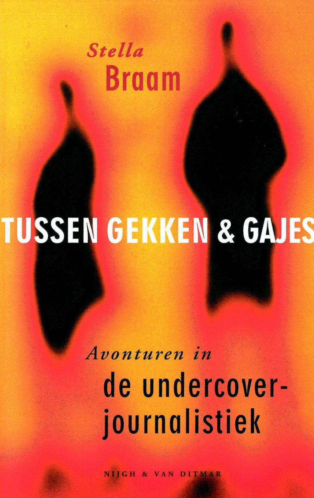 Big bigCover of Tussen gekken en gajes