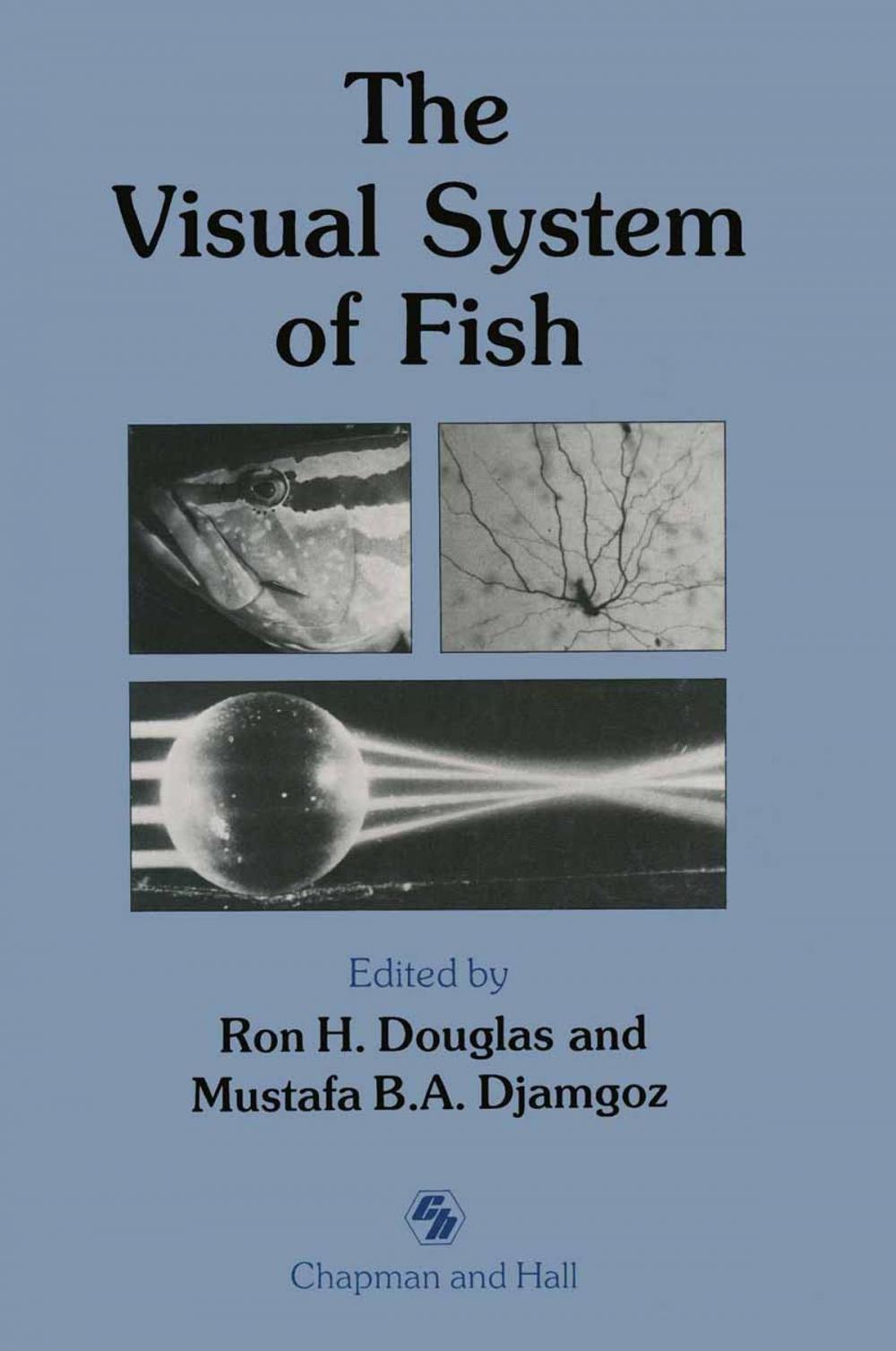 Big bigCover of The Visual System of Fish