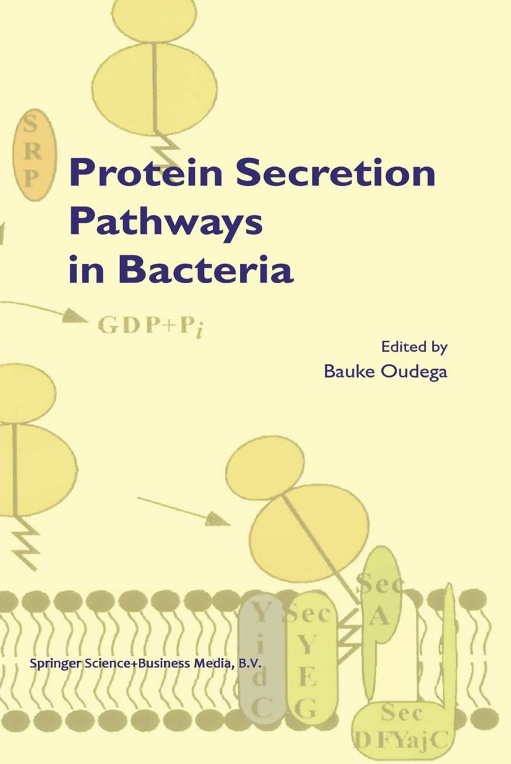 Big bigCover of Protein Secretion Pathways in Bacteria