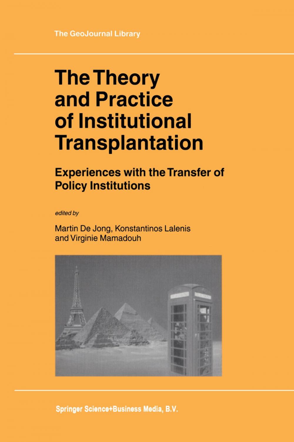 Big bigCover of The Theory and Practice of Institutional Transplantation