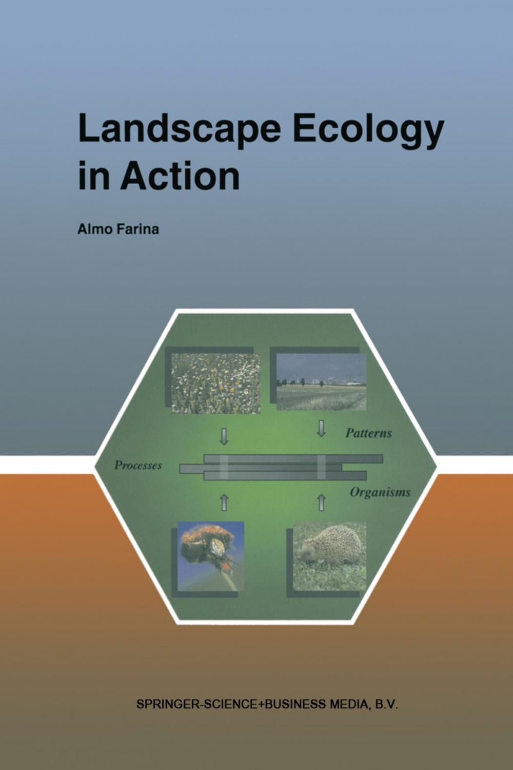 Big bigCover of Landscape Ecology in Action