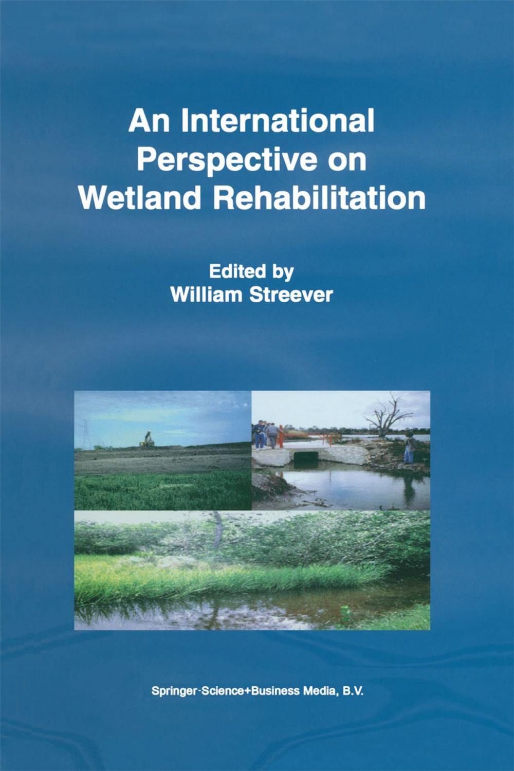 Big bigCover of An International Perspective on Wetland Rehabilitation