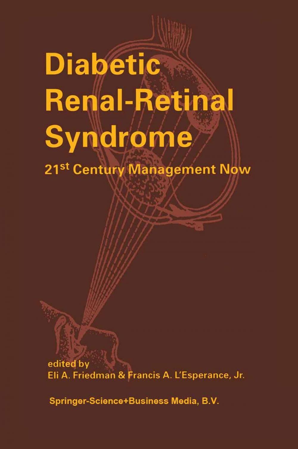 Big bigCover of Diabetic Renal-Retinal Syndrome