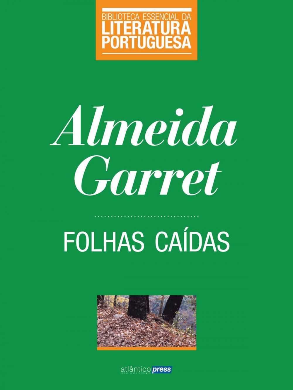 Big bigCover of Folhas Caídas