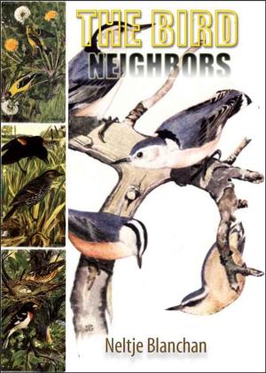 Cover of the book BIRD NEIGHBORS by Isabelle Goriaux