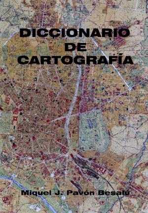 bigCover of the book Diccionario de cartografía by 