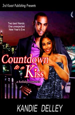 Cover of the book Countdown to a Kiss by Heidi Hutchinson