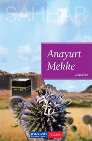 Cover of the book Anayurt Mekke by Abdurrahman Dilipak
