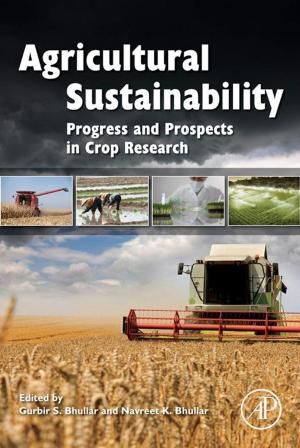 Cover of the book Agricultural Sustainability by Georg Hempel