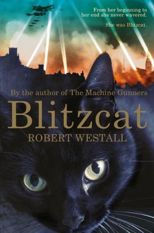 Cover of the book Blitzcat by Colette Bryce