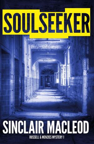 Cover of the book Soulseeker by Steve Harman