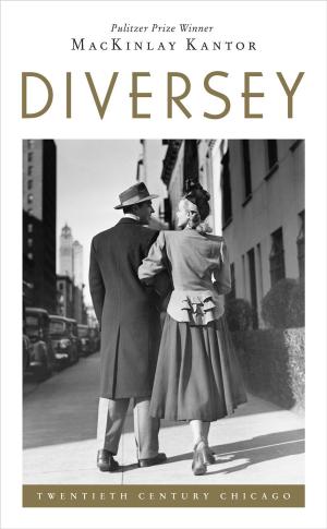 Cover of the book Diversey by Britta Habekost, Christian Habekost