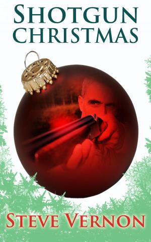 Cover of the book Shotgun Christmas by Celina Summers