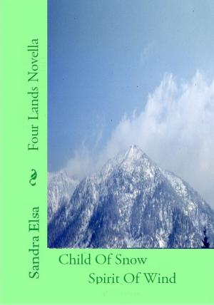 Cover of the book Child Of Snow, Spirit Of Wind by J E Nice