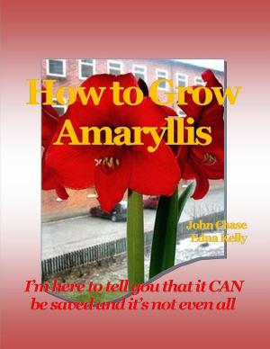 Book cover of How to Grow Amaryllis