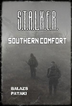 Cover of the book STALKER Southern Comfort by Sam Smith