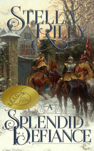Cover of the book A Splendid Defiance by Jon Michael Riley