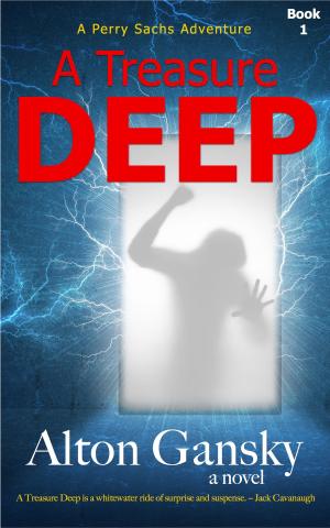 Cover of the book A Treasure Deep by S. E. White