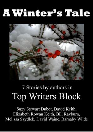 Cover of the book A Winter's Tale by Top Writers Block