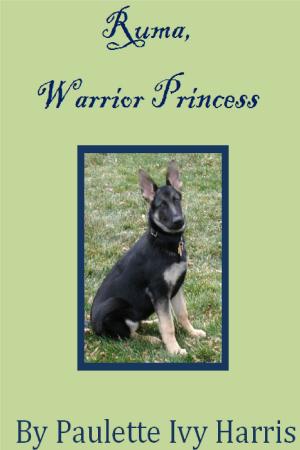 Cover of Ruma, Warrior Princess
