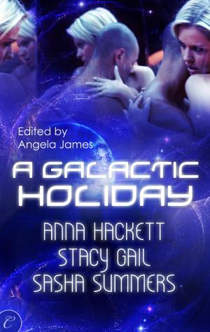 Cover of the book A Galactic Holiday by Eleri Stone