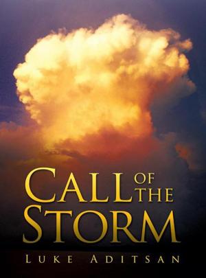 Cover of the book Call of the Storm by Becky Mulkern, ND