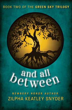 Cover of the book And All Between by Meryl Sawyer