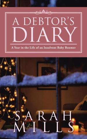 Cover of the book A Debtor’S Diary by Hildo Bijl