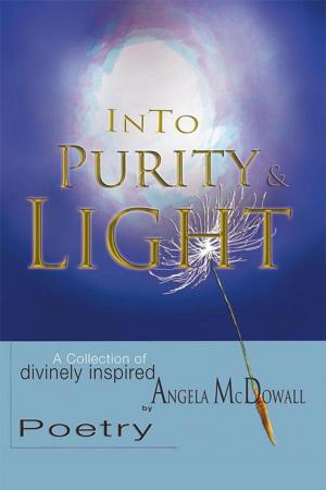 Cover of the book Into Purity & Light by Imran Najafi