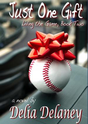 Cover of the book Just One Gift by Ally Adair
