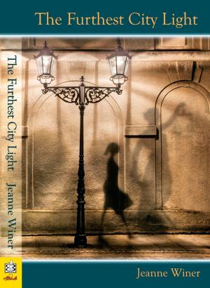 Cover of the book Furthest City Light by Melissa Price