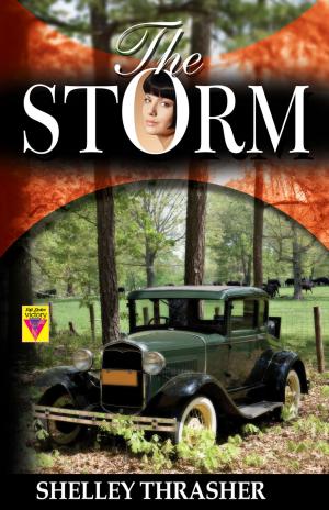 Cover of the book The Storm by D. Jackson Leigh