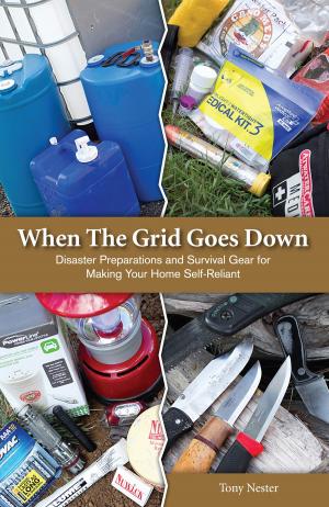 Cover of the book When The Grid Goes Down by Dannica Daniels