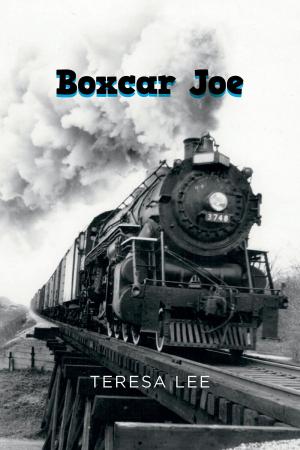 Cover of the book Boxcar Joe by Karen Grand