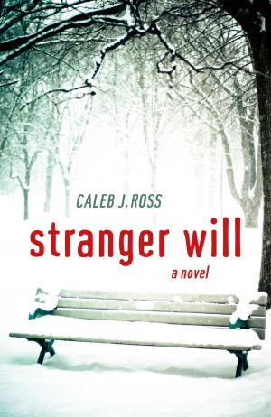 Cover of the book Stranger Will by Bernardo Kastrup