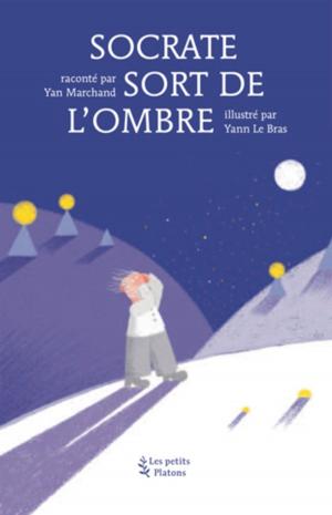 Cover of the book Socrate sort de l'ombre by Éric Fiat, Pierre Magnard