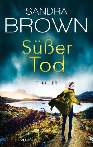 Cover of the book Süßer Tod by Colin Goodwin