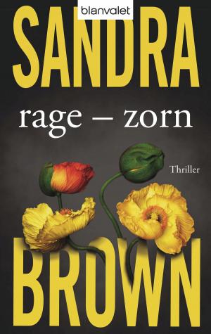 Cover of the book Rage - Zorn by Kristi Cramer