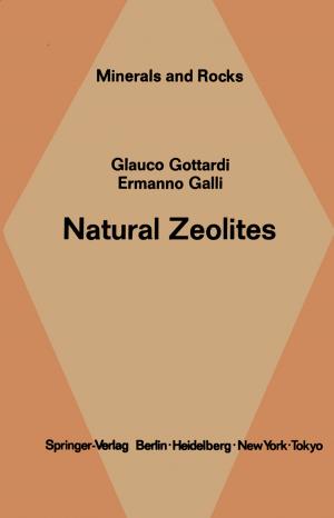 Book cover of Natural Zeolites