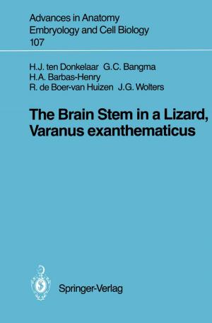 Book cover of The Brain Stem in a Lizard, Varanus exanthematicus