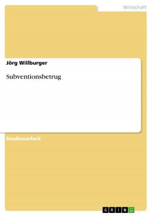 Cover of the book Subventionsbetrug by Torben Schneider
