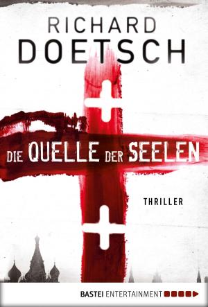 Book cover of Die Quelle der Seelen