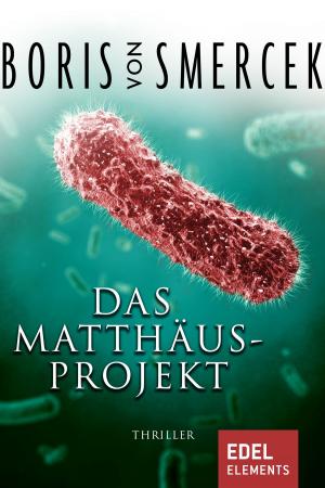 Cover of the book Das Matthäus-Projekt by Boris von Smercek