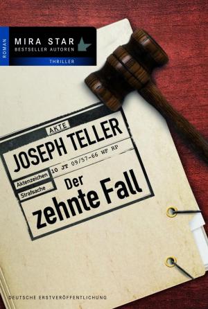 Cover of the book Der zehnte Fall by Petra Schier