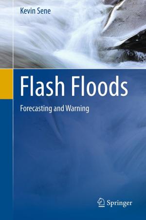 Cover of the book Flash Floods by Fiorentino Marco Lubelli