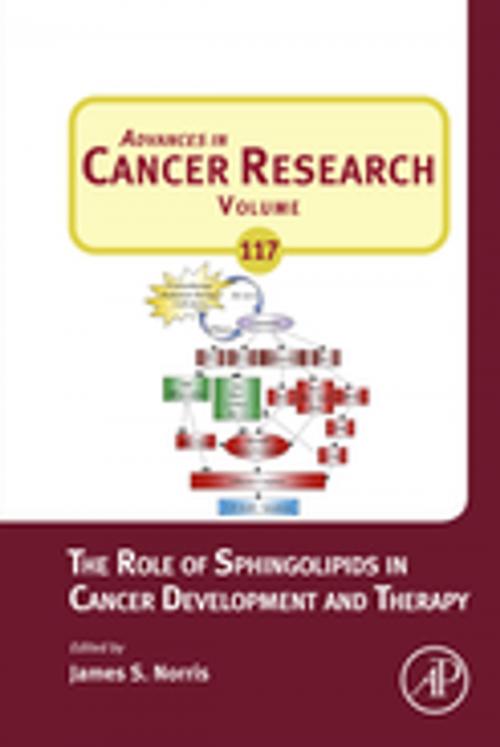 Cover of the book The Role of Sphingolipids in Cancer Development and Therapy by James S. Norris, Elsevier Science
