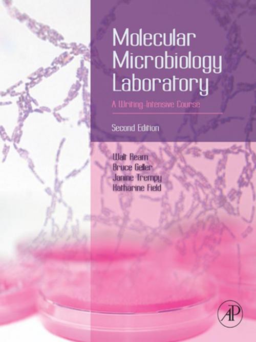 Cover of the book Molecular Microbiology Laboratory by Walt Ream, Bruce Geller, Janine Trempy, Katherine Field, Elsevier Science